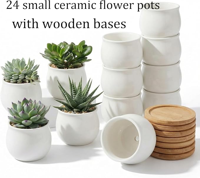 SHECIPIN 24 Pcs 2.5 Inch Small Succulent Pots with Drainage & Bamboo Trays - Assorted Small Succulent Planters Bulk for Home Office Garden Decor