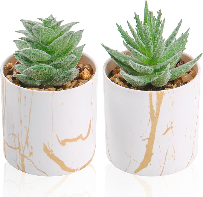 Der Rose Set of 2 Succulents Plants Artificial Mini Fake Succulents Plants for Home Office Desk Accessories for Women