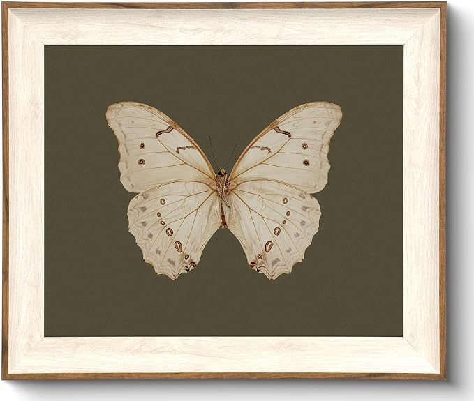 Uniro Vintage Framed Wall Art, Classical Butterfly Oil Paintings, Dark Moody Insect Canvas Prints Artwork with Antique Frame, Saige Green Wall Decor Pictures for Bedroom, Kitchen, Shelf, Bathroom Wall Decor, Cottagecore Room Decor - 10x12Inch