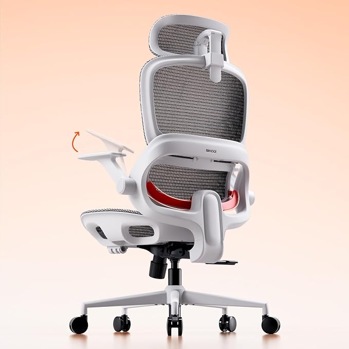 SIHOO B100 Office Chair, Comfy Ergonomic Office Chair, High Back Computer Chair with Adaptive Lumbar Support & Wide Headrest, Flip-up Armrests, Swivel Desk Chair for Long Hours, Grey
