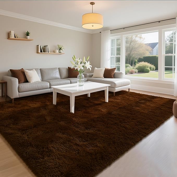 HOMORE Living Room Rug 5 x 7 Area Rug, Brown Rugs for Living Room Bedroom, Large Fluffy Rugs Super Soft Carpet for Kids Room Classroom Dorm Home