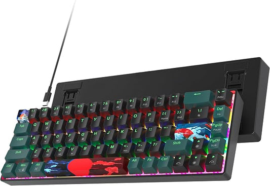 60 Percent Gaming Keyboard 68 Keys Mechanical Keyboard Rainbow Backlit Compact Wired Keyboard with Red Switch for Windows PS4/5 Xbox(68 Green)