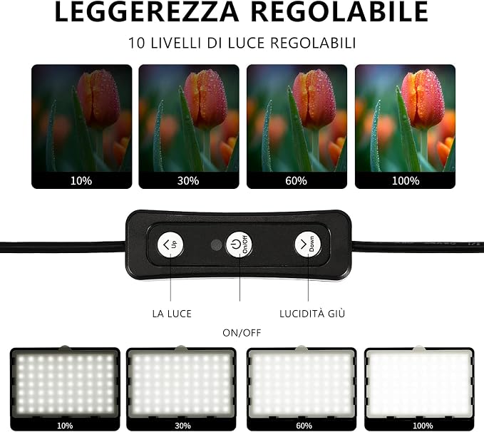 Photography Video Lighting Kit, LED Studio Streaming Lights W/70 Beads & Color Filter for Camera Photo Desktop Computer Conference Game Stream YouTube TikTok Portrait Shooting Pack of 2
