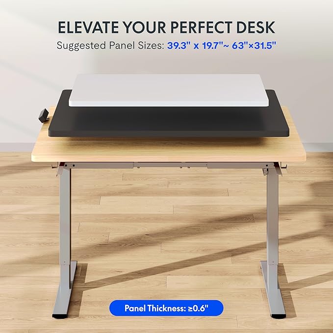 FLEXISPOT EN2 Standing Desk Frame with Clamp Power Strip and Cable Management Tray, Electric Sit Stand Desk Base with Memory Controller for Home and Office (Gray Frame Only)