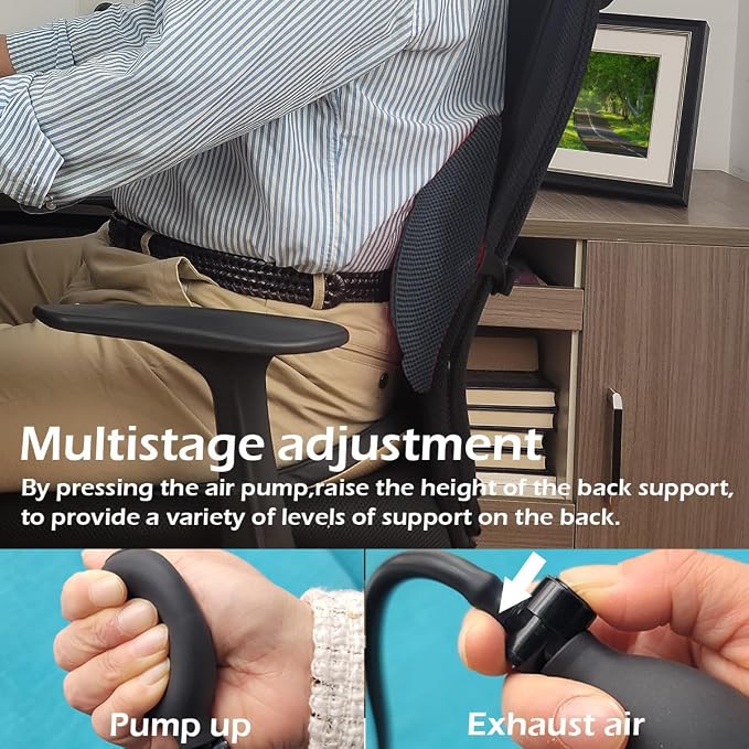 2Pack Inflatable Lumbar Support Pillow for Office Chair and Car Seat, Back Support Cushion with Air Pump for Reducing Lower Back Pain