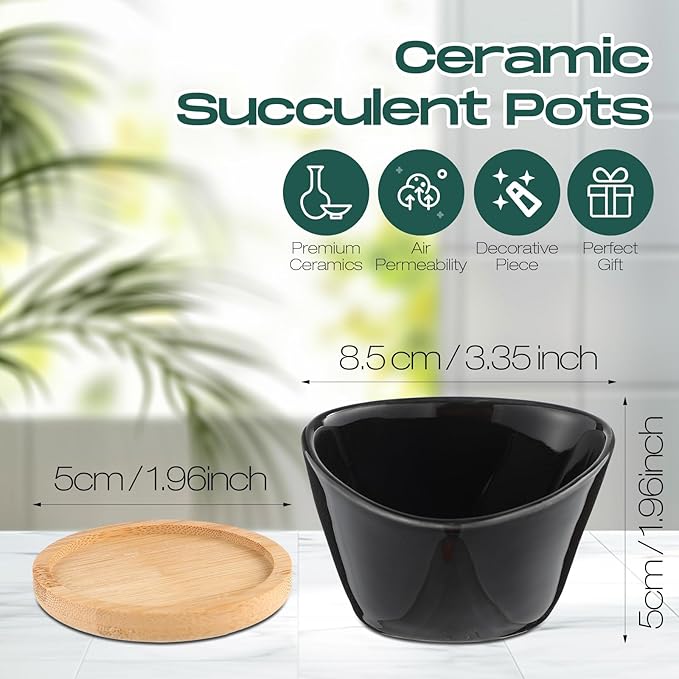 Domensi 24 Pack Succulent Planter Pots 3 Inch Small Plant Pots Mini Ceramic Succulent Planter Holder with Drainage Holes and Bamboo Saucers(Black)