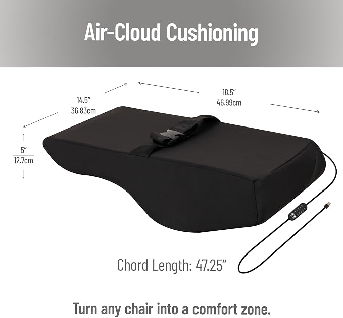 Mind Reader Heated Lumbar Support Cushion with Gentle Heat and Timer, Memory Foam Lower Back Pillow for Office Chair and Home Use, Black