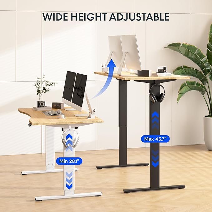 FLEXISPOT EN1 Bamboo Standing Desk, 48 x 24 Inches Whole-Piece Electric Height Adjustable Desk (Silver Frame + Bamboo Top, 2 Packages)