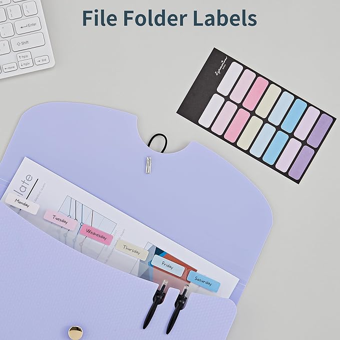 JARLINK 7 Pockets Expanding File Folder, A4 Accordion File Folders with 12 Labels, Cute Paper Organizer, Portable Document Organizer for College School Office Supplies, Macaron Pupple & Macaron Pink