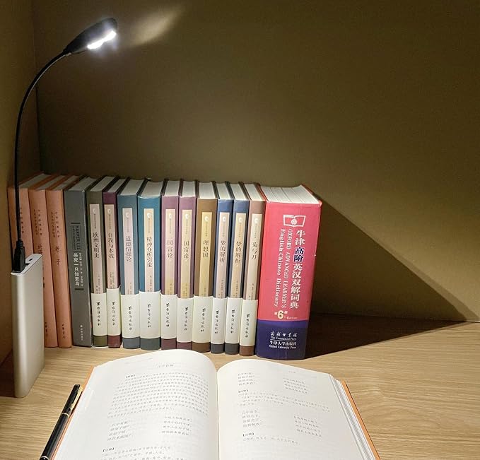 LED USB Reading Lamp Light with 2-Brightness Dimmable Setting, Flexible Gooseneck USB Light for Notebook Laptop Keyboard, Powerbank(On/Off Switch, 1 Black+1 Mini USB Light)
