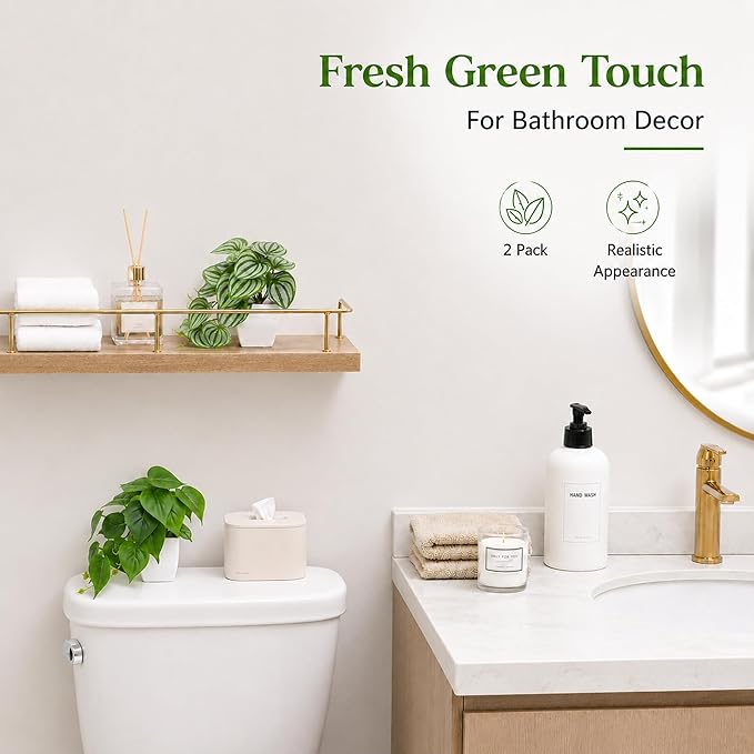 Der Rose 2Pcs Small Fake Plants Artificial Mini Faux Plants for Bathroom Office Desk Shelf Table Accessories Decor Indoor