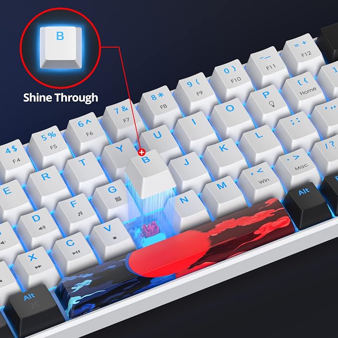 60 Percent Gaming Keyboard 68 Keys Mechanical Keyboard LED Backlit Compact Wired Keyboard with Red Switch for Windows PS4/5 Xbox Gamer(Black-White)
