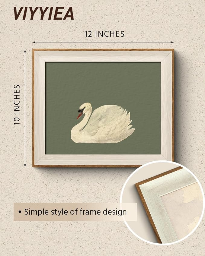 VIYYIEA Framed Wall Art for Living Room, Swan Canvas Prints, Green Home Decor, Animals Painting Picture, Bathroom Wall Decor Gifts for Friends or Family -【Swan Green】-(12L x 10W)