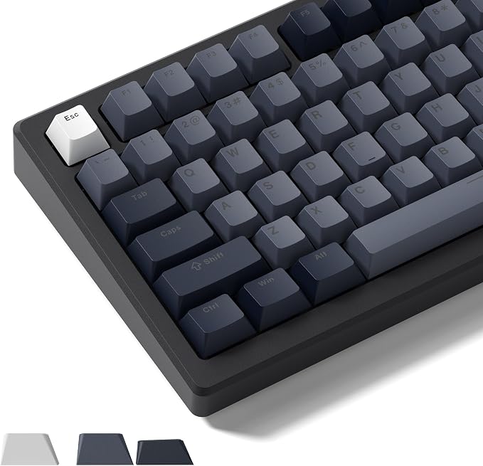 Womier Shine Through Keycaps - PBT Keycaps for Mechanical Keyboard 60% 75% 96% 100% Percent, Cherry Profile Key caps Universal Compatiability for Cherry Gateron MX Switches Keyboard-Gray