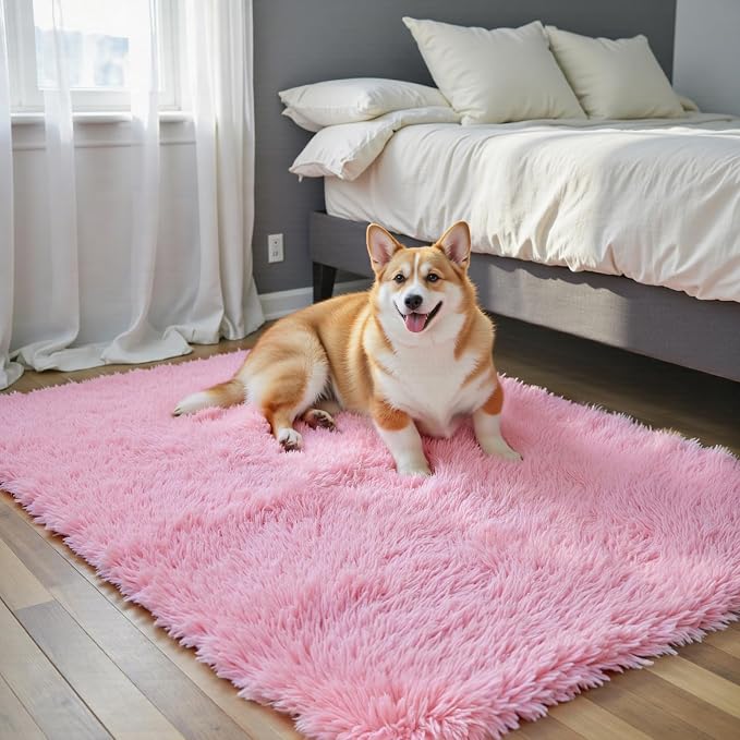 Small Rug Throw Rugs for Bedroom, Mini Area Rug, Fluffy Pink Carpet, Affordable Door Entryway Indoor Inside Front Entrance Dog 2x3 Mat, Home Decor Aesthetic(2 x 3, Pink)