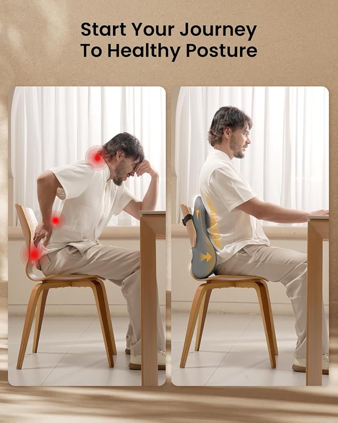 ProtoArc Lumbar Support Pillow for Office Chair, Back Support Pillow, Gray | Memory Foam Pillow for Lower Back Fatigue Relief, Lumbar Pillow Desk Chair Back Cushion, Ergonomic Back Rest for Chair
