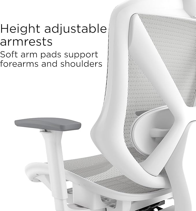 STAPLES Ergonomic Task Chair, Mesh, Ergonomic, Lumbar Support, Gray