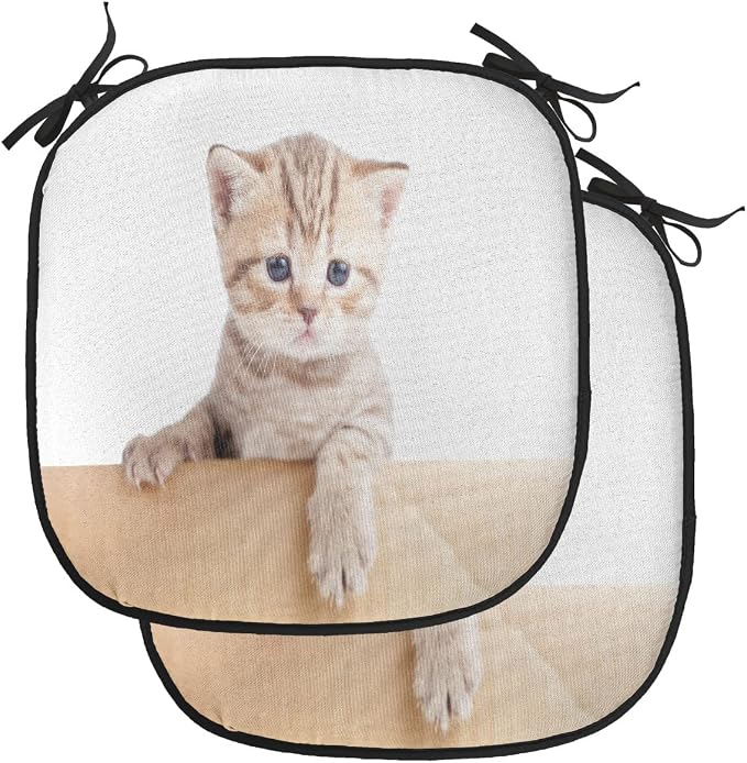 Lunarable Cat Chair Cushion Pads Set of 2, British Cat in Cardboard Box Little Striped Fur Looking at Camera Picture, Anti-Slip Seat Padding for Kitchen & Patio, 16"x16", Sand Brown White