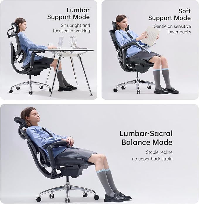 SIHOO Doro C300 Pro V2 Ergonomic Office Chair Without Footrest, Full-Body Adaptive Support, 8D Armrests & Breathable Mesh, Comfy High Back Computer Desk Chair for Long Hours, 135° Recline (Black)
