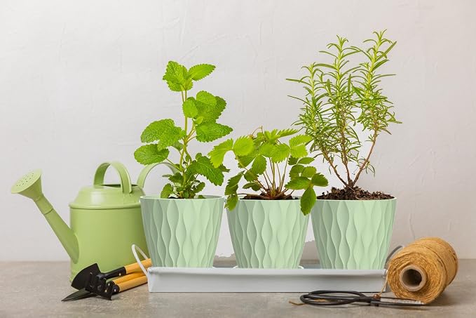 4 Inch Plant Pots, 6 Pack Indoor Flower Pots, Planters with Drainage Holes and Trays for Orchids, Violets, Succulents, Herbs, and Other Plants,Green
