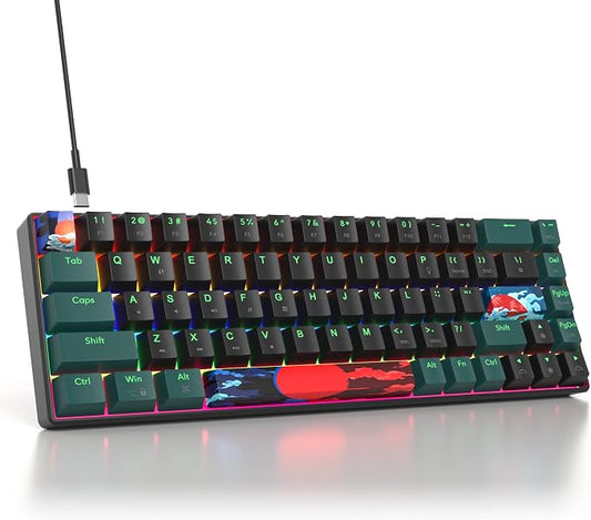 60 Percent Gaming Keyboard Mechanical with Linear Red Switch, 65% Wired Ultra-Compact Mini Keyboard Rainbow with PBT Keycaps for Ps4/Ps5/Xbox(68 Green)