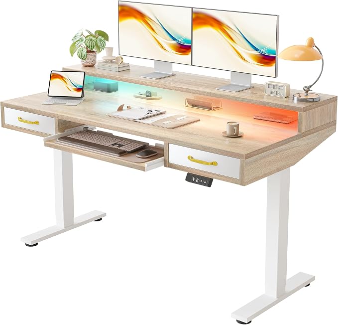 TIQLAB Standing Desk with Two Drawers, Stand Up Standing Desk Adjustable Height, Electric Sit Stand Table with Storage Shelf and Splice Board, with LED Light, 55 * 28 inch, Maple