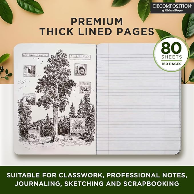 Decomposition Honeycomb College Ruled Composition Notebook - 9.75 x 7.5 Journal with 160 Lined Pages - Notebooks for School Supplies, Home & Office - 100% Recycled Paper - Made in USA