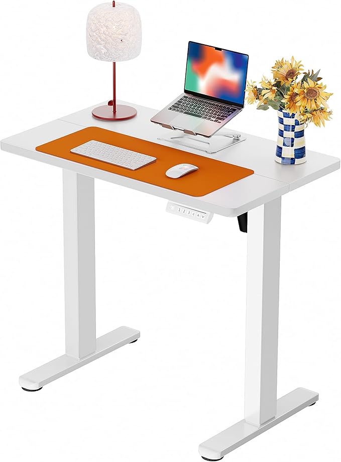 ErGear Height Adjustable Electric Standing Desk, 32 x 19 Inches Sit Stand up Desk with Memory Presets, Computer Home Office Desk, White