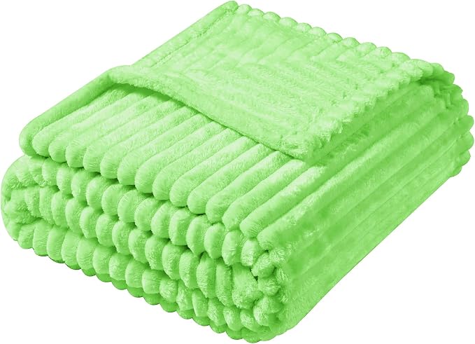 Vessia Flannel Fleece Throw Blanket (50X70 inch), 300GSM Lightweight Light Green Blanket for Couch, Sofa and Bed - Warm and Soft Green Throw for All Season