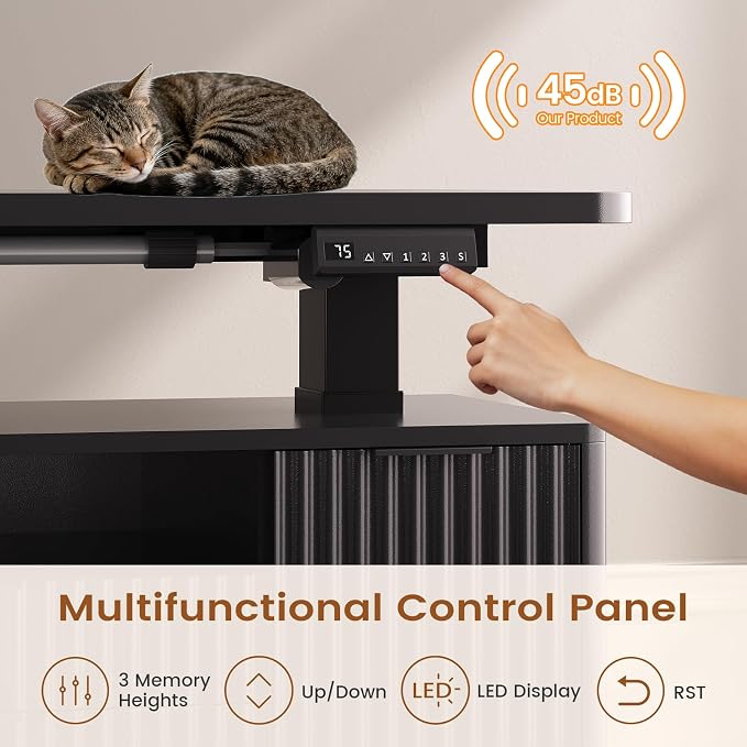 SEDETA L Shaped Electric Standing Desk, 69" x 55"Height Adjustable Office Executive Desk with 4 Drawers and Storage Shelves, Fluted Sit Stand Computer Desk with Power Outlet for Home Office (Black)