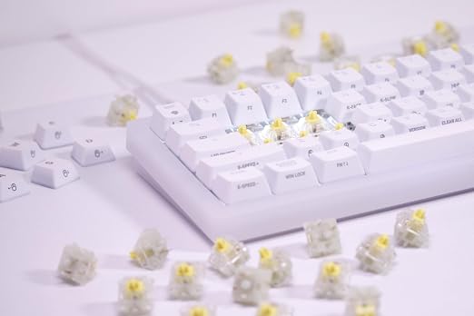 CHERRY MX2A RGB Honey Switch Kit, 36 Mechanical Keyboard Switches, for DIY, Hot Swap or Gaming Keyboards, Tactile Switch with No Click, Sweet & Silent