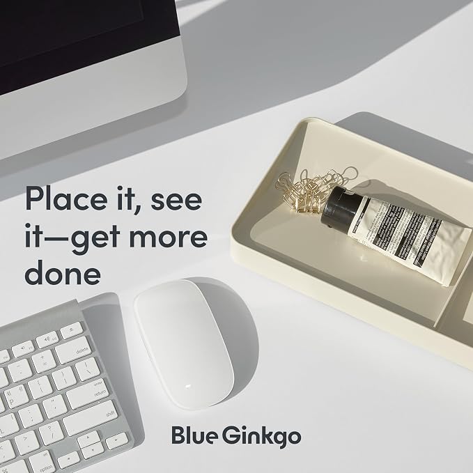 BLUE GINKGO Desk Organizer Tray, Green, Made in Korea | Double-Sided. Sloped Design. Easy Access.