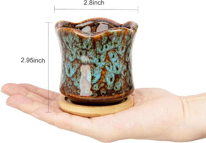 ARTKETTY Succulent Pots with Drainage Tray, Cute Ceramic Pots for Plants Set of 6