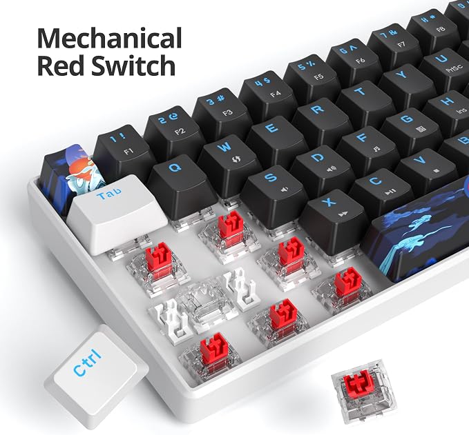 60 Percent Gaming Keyboard 61 Keys Mechanical Keyboard Ultra Compact Wird Keyboard LED Backlit with Red Switch for PC Laptop Gamer(61 Black)