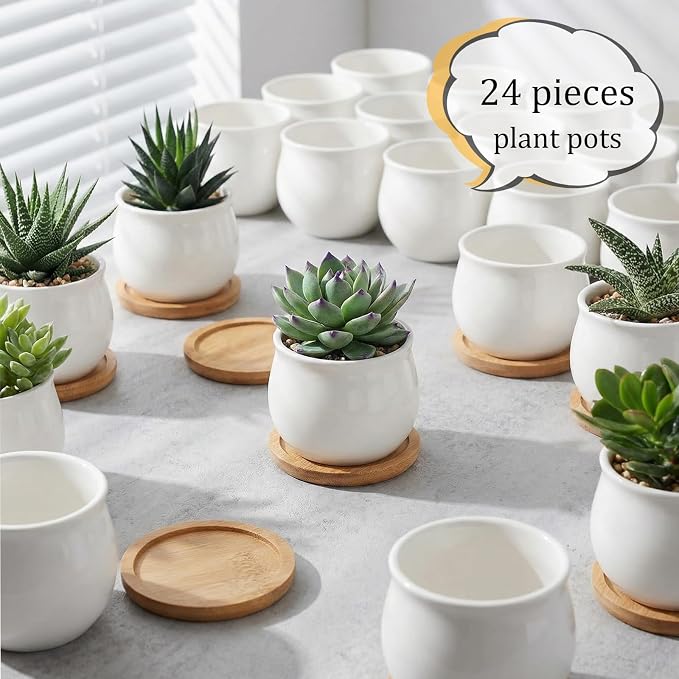 SHECIPIN 24 Pcs 2.5 Inch Small Succulent Pots with Drainage & Bamboo Trays - Assorted Small Succulent Planters Bulk for Home Office Garden Decor