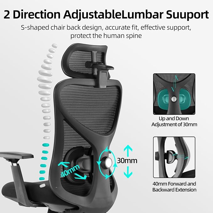 LAIAN Premium Ergonomic Office Chair, Big and Tall Heavy Duty Desk Chair with 3D Adjustable Armrests, Breathable Mesh Back Computer Chair, 2D Lumbar Support&3D Headrest&4-Position Recline 400lbs Black