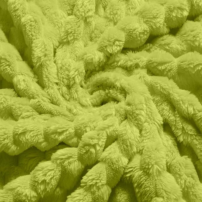 Vessia Flannel Fleece Throw Blanket, 3D Jacquard Green Fuzzy and Warm Blanket for Couch,Sofa,Bed,Chair, 300GSM Super Soft Touch Cozy Throw for All-Season Home Decor(50x40inch)