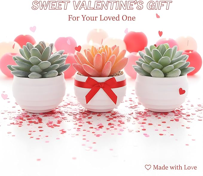 Tiita Artificial Faux Succulents in Pots Fake Plants Ceramic Arrangement Planter for Women Desk Small Mini Tiny Decoration for Home Office Desk Window