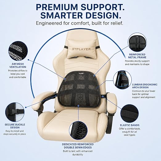 Lumbar Back Support | Adjustable Breathable Mesh Ergonomic Car Seat Home Office Desk Chair Pain Relief Cushion (Lumbar Support, 2, Pieces)