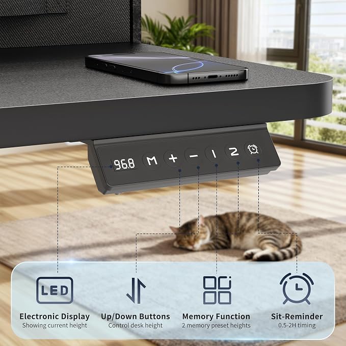 YESHOMY 63" x 23" Electric Standing Desk with 2 Drawers, Height Adjustable Computer Desk, Low Noise Home Office Stand Up Desk with 2 Preset Heights & 2 Hooks, Black