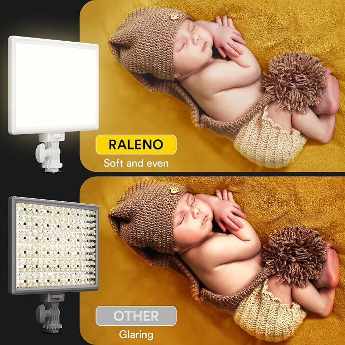 RALENO LED Video Light, White Camera Light for Pictures Video Recording with 4000mAh Battery Support Type-C USB Power Supply, CRI>95 2500K-6500K Photo Lights for Outdoor Photography Live Streaming