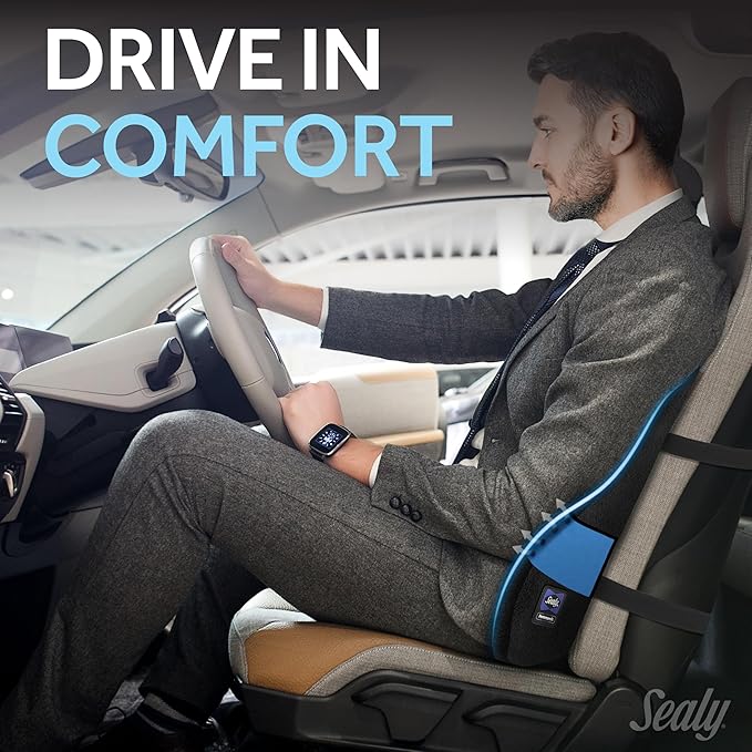 Sealy High Back Memory Foam Lumbar Support Pillow for Office Chair or Gaming Chair, Orthopedic Back Pillow for Car Seat, Black