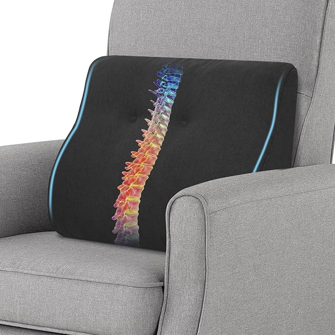baibu Lumbar Support Pillow for Recliner, Large Memory Foam Dual-Layer Patent Design Back Support Cushion for Sofa & Gaming Chair, Ergonomic Lumbar Pillow with Machine Washable Cover, Black