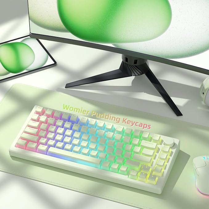 Womier Shine Through PBT Keycaps, Green Pudding Key caps, OEM Profile Double Shot Custom Keyboard Keycaps 130-key Set for 60% 65% 75% 100% Cherry Gateron MX Mechanical Keyboard-Matcha Green