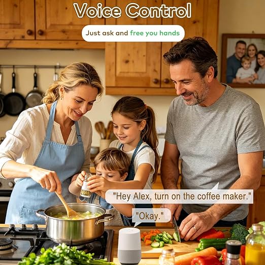 NineLeaf Zigbee Smart Outlet w Remote Control, Wireless Plug,Zigbee Hub Required, 500ft, APP & Voice Control, Compatible with Alexa & Google Home, Timer & Schedule, 2 Switches+1 Outlet