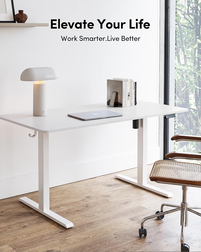 FEZIBO Electric Standing Desk Adjustable Height, 48 x 24 Inch Sit and Stand Desk, Home Office Desk, Ergonomic Workstation Computer Desk, White