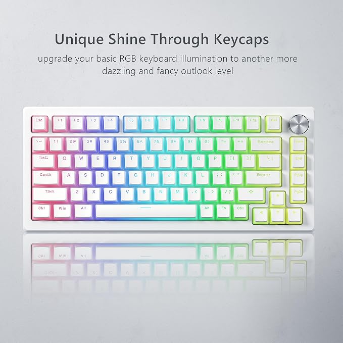 Womier Double Shot PBT Keycaps, Pudding White Keyboard Key caps, OEM Profile Custom Keycaps 75 Percent 129-key Set for 60% 65% 75% 100% Cherry Gateron MX Mechanical Keyboard-White