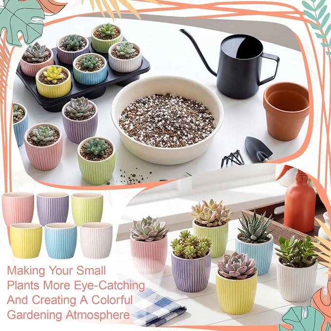 24 Pcs 2.7 Inch Small Succulent Plant Ceramic Pot with Drainage Hole, Cute Mini Succulent Pots for Plants, Succulents, Cactus, DIY Easter Spring Craft Activity, 6 Colors(Vertical Stripes)