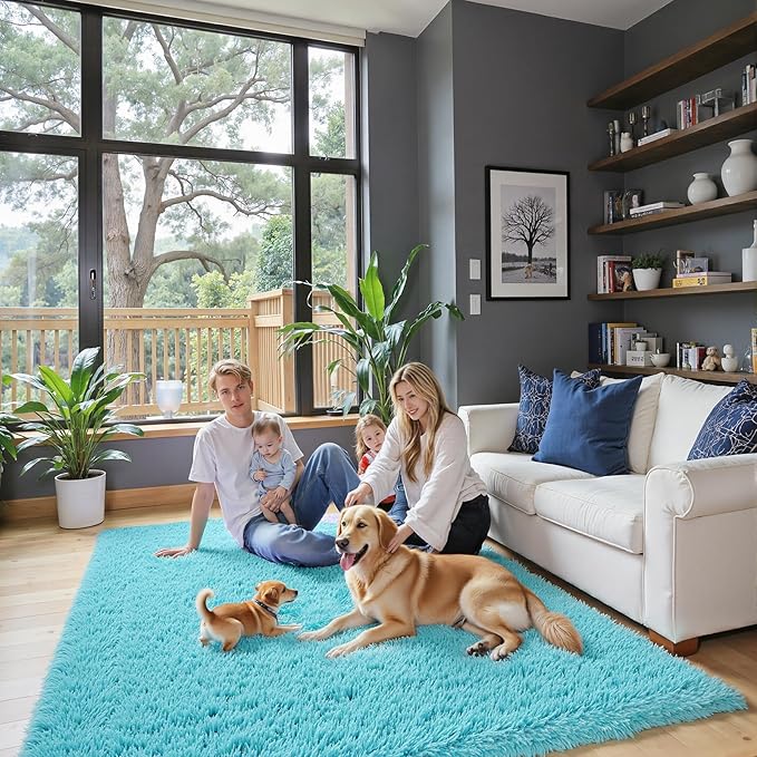 Rugs for Living Room 5x8, Alfombras para Salas Shag Large Plush Soft Area Rug, Shaggy Carpets for Bedroom,Boys Girls Home Decor Aesthetic(Teal Blue, 5 x 8)