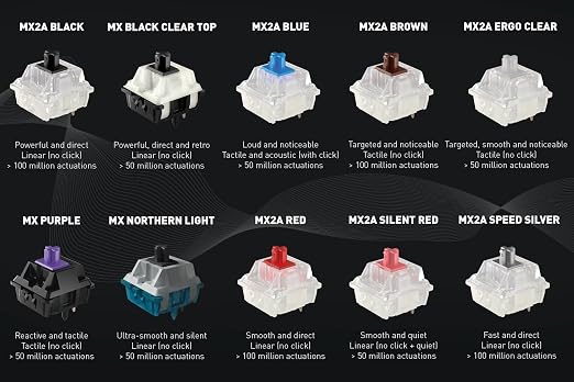 CHERRY MX2A Experience Box, 10 Piece Sample Tester, Mechanical Keyboard Switches, for DIY, Hot Swap or Gaming Keyboard, for Testing and Getting to Know Them, Original CHERRY Quality